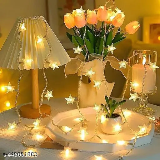String Star Lights for Decoration - 14 LED Star Fairy Lights