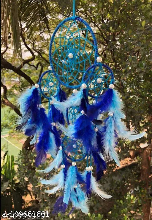 Dream Catchers Wall Hangings for Home